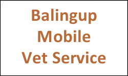 Balingup Mobile Vet Service