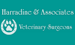 Harradine & Associates Veterinary Surgeons